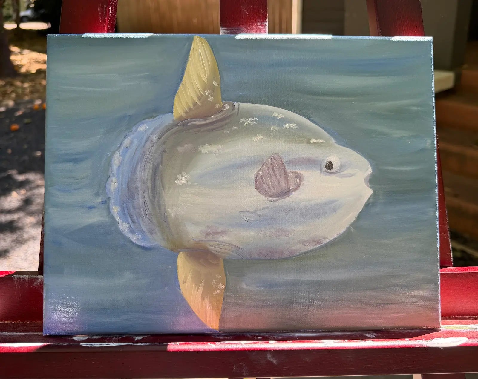 Mola Mola (may 2026) 12x9 Inch Original
